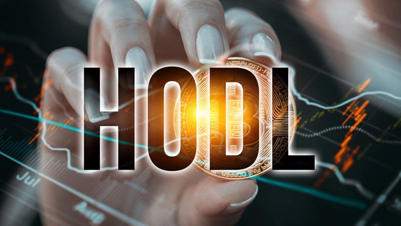 هودل-(hodl)-ارز-دیجیتال-چیست؟