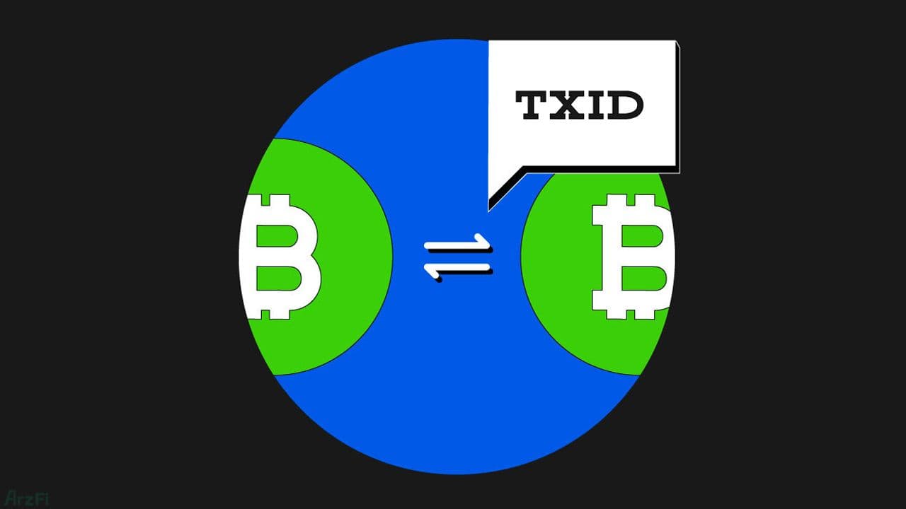 فناوری-هش-تراکنش-txid-چیست؟