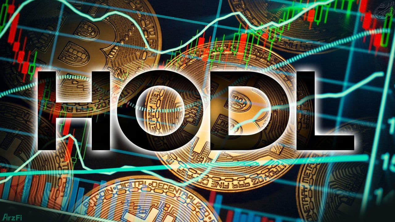 هودل Hodl چیست؟